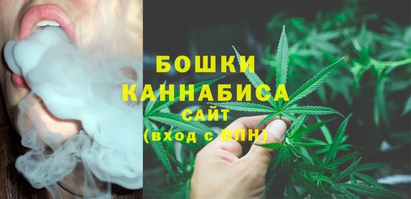 МДПВ Струнино