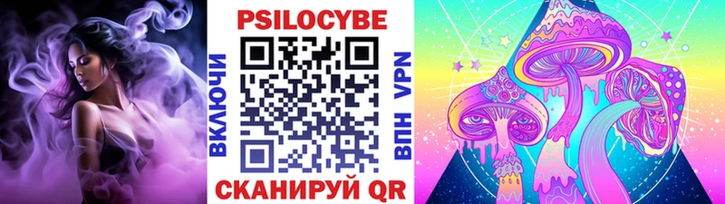 Псилоцибиновые грибы Cubensis  закладки  Щучье 